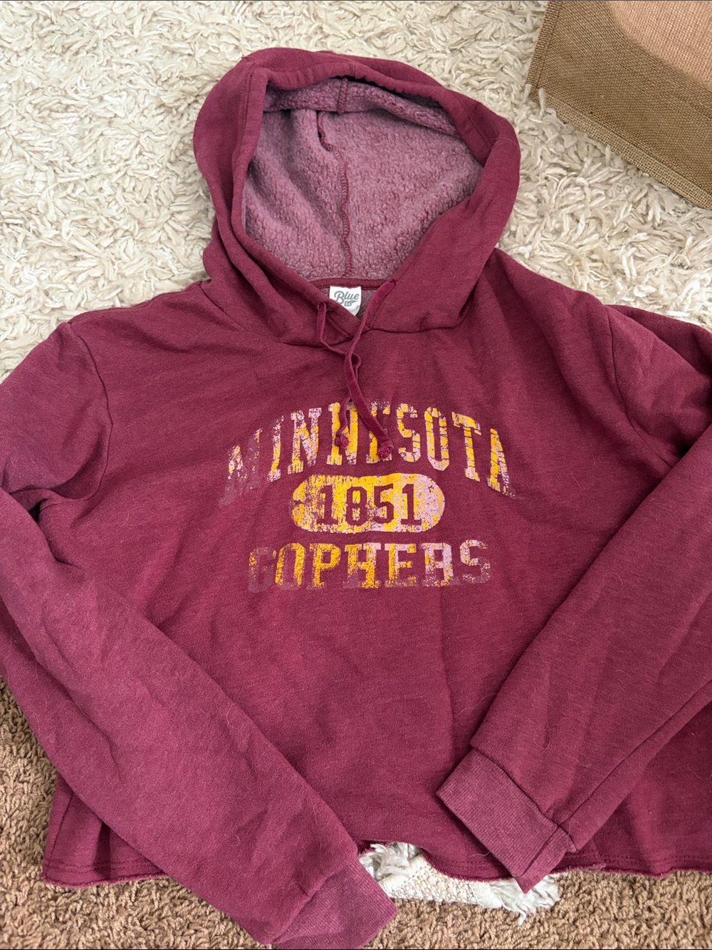 Blue 84 Maroon Minnesota Gophers Hooded Sweatshirt with Yellow Graphic